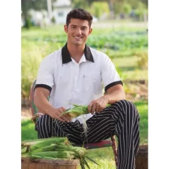 Uncommon Threads Chef Shirts*Short Sleeve Trimmed Utility Shirt